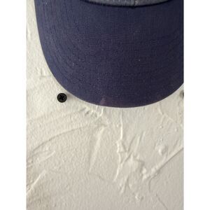 Patagonia Roy Bison LoPro Trucker Hat